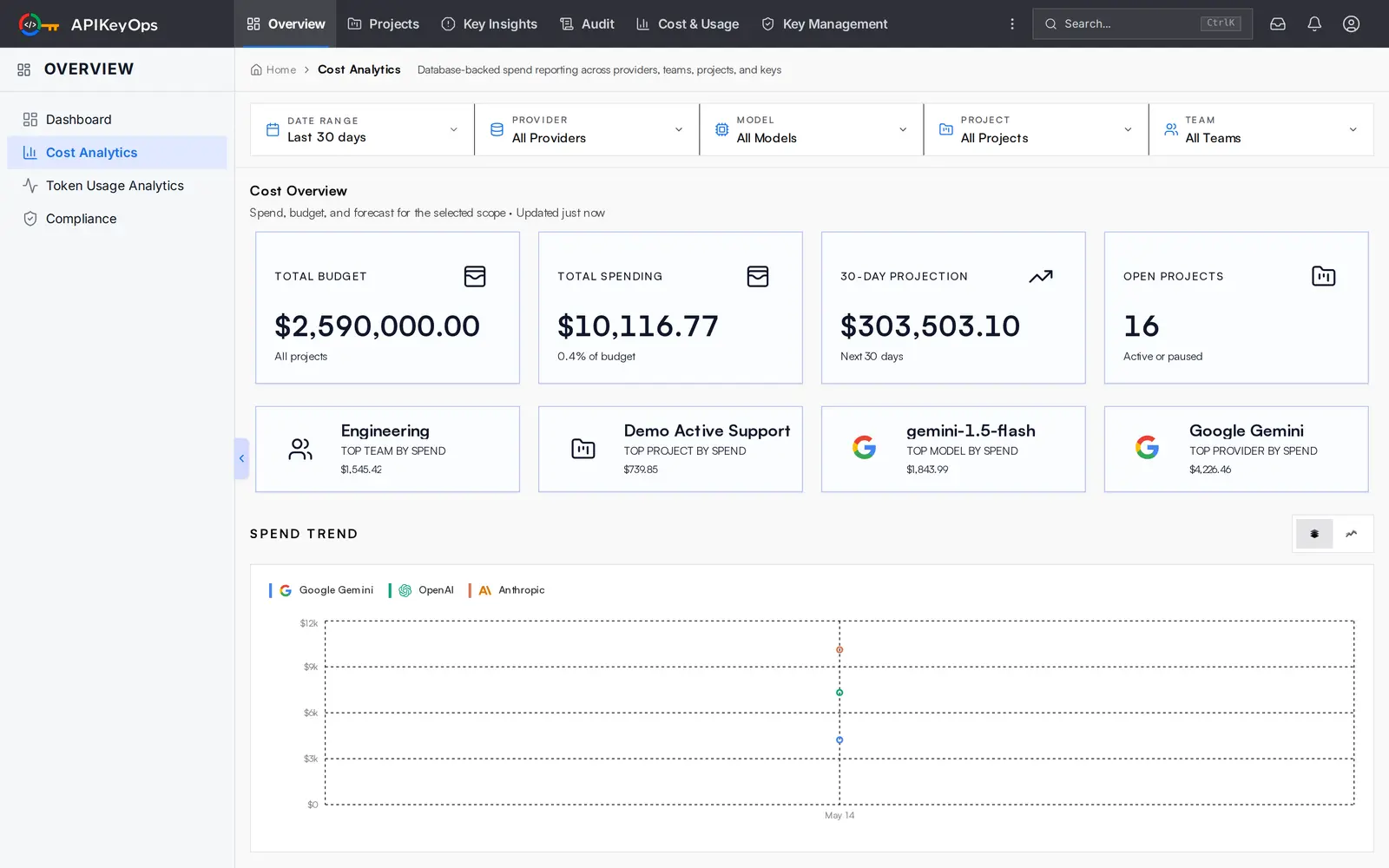 APIKeyOps Cost Analytics screen